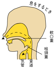 息をするとき.jpg